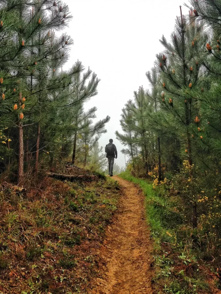 Person finding his way